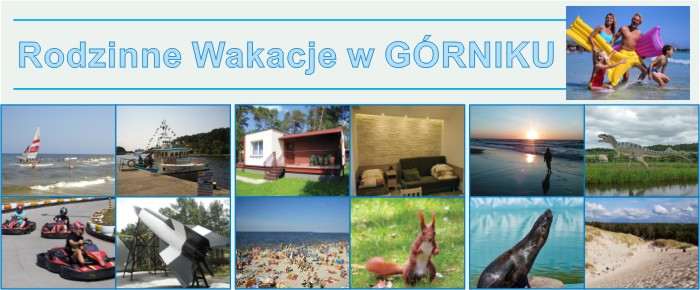 CWP GORNIK eba